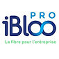 IBLOO